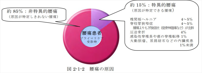 腰痛の原因,原因特定できな腰痛とは,