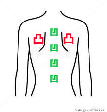 寝て背中が痛くなる理由,背中の構造,