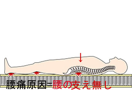 腰が痛くならない、腰痛に良いベッド&マットレス試し寝北海道、札幌，