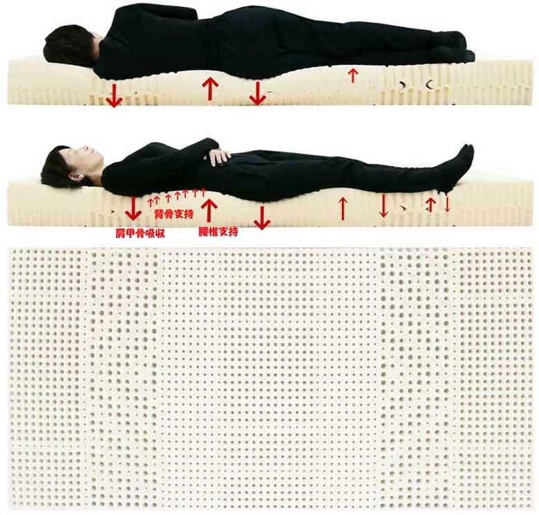 ラテックスマットレスは身体の凹凸に沿い吸収と反発力で足先まで無理なく楽に眠れる寝姿勢イメージ