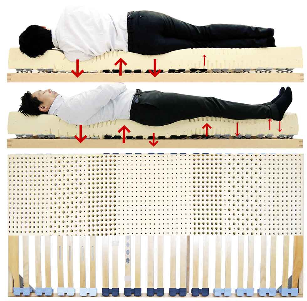 ベッドとマットレスの弾力で身体を支えている様子、男性寝姿勢想定図