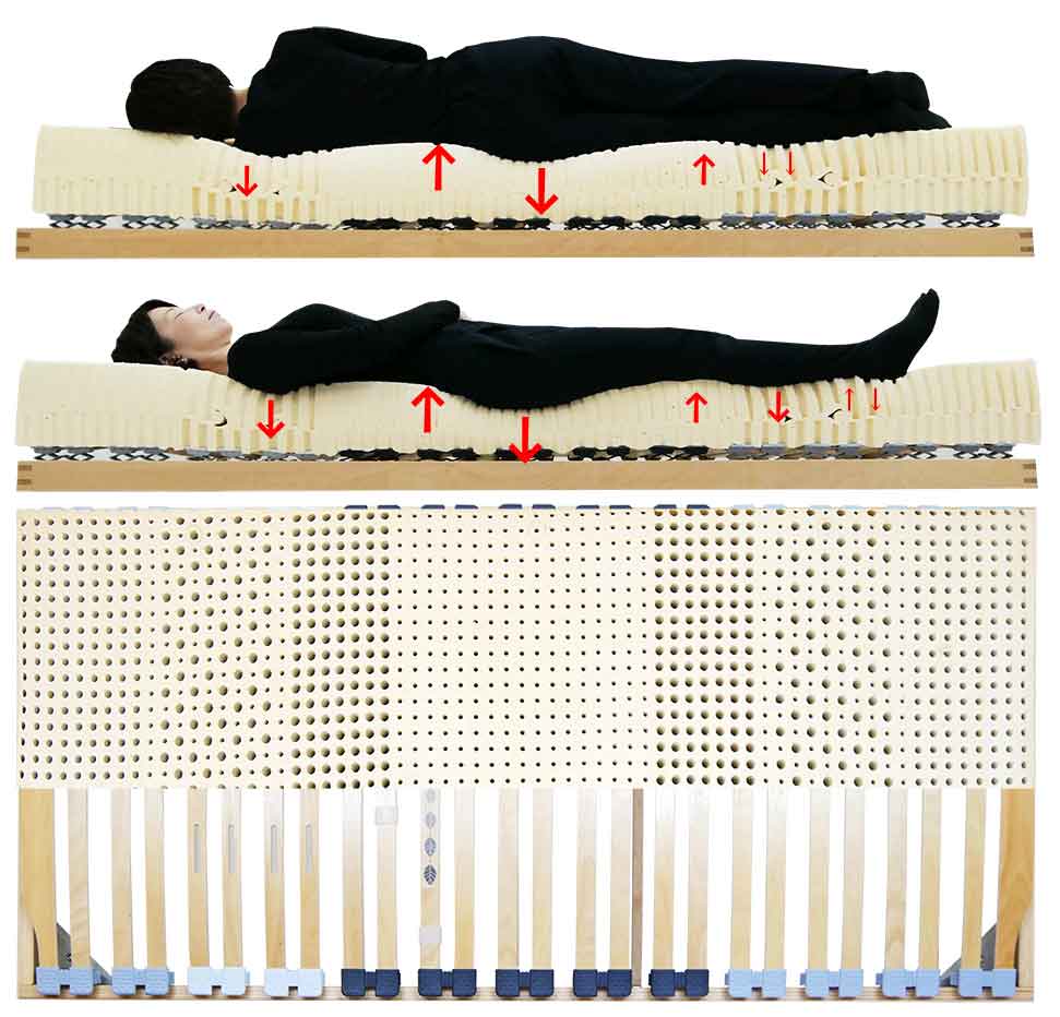 ベッドとマットレスの弾力で身体を支えている様子、女性寝姿勢想定図