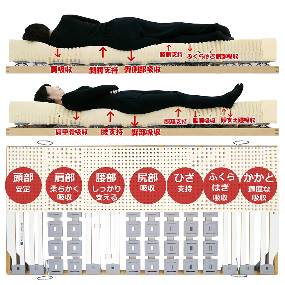 寝て背中の痛くならないベッド&マットレス選び方試し寝体験北海道、札幌，
