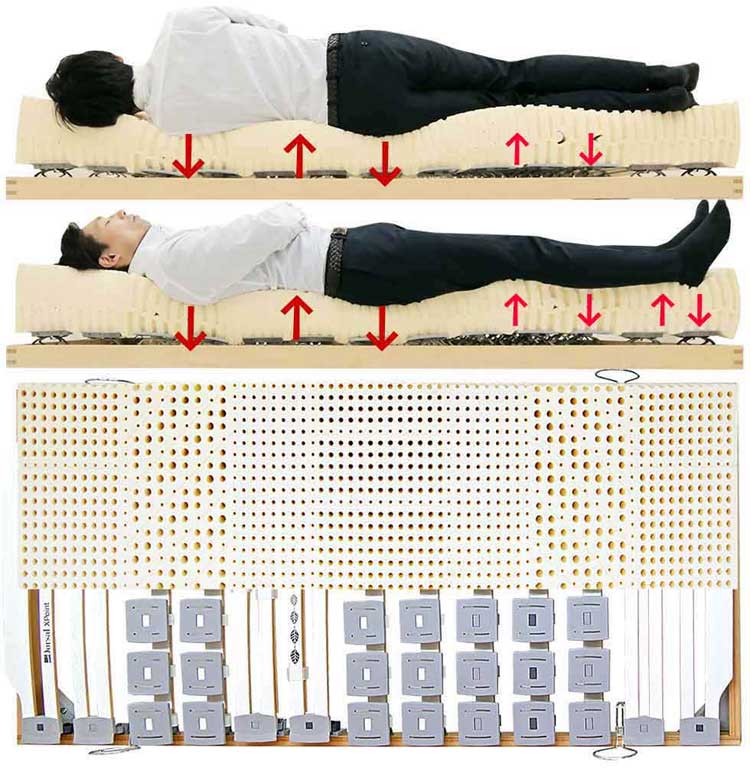 ウッドスプリングベッドとラテックスマットレスで出来る適正な寝姿勢