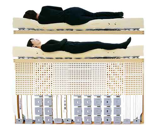 高価格でも満足度の高いウッドスプリングベッドとラテックスマットレス女性寝姿勢図