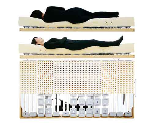 腰に良い眠り姿勢が出来るウッドスプリングベッドとラテックスマットレス女性寝姿勢図