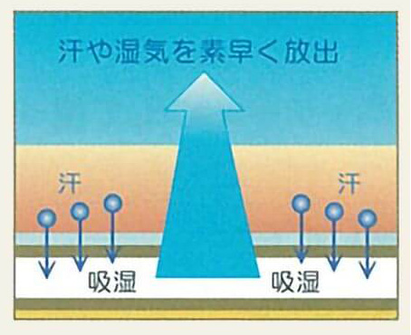 自然素材の麻のちから