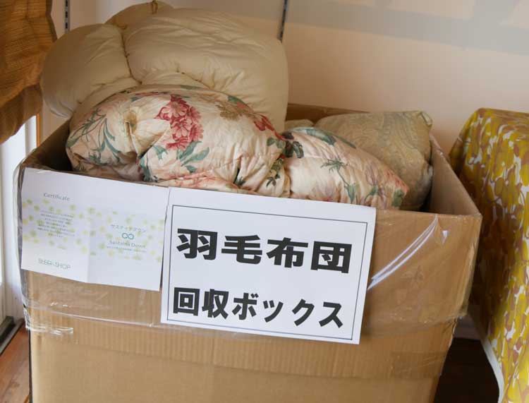 羽毛の回収 羽毛の回収